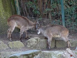 Tiergarten Schönbrunn am 23.03.2023